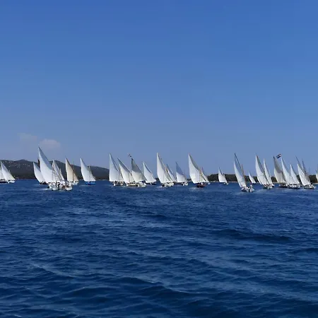 Garden , Homeandsail Lejlighed