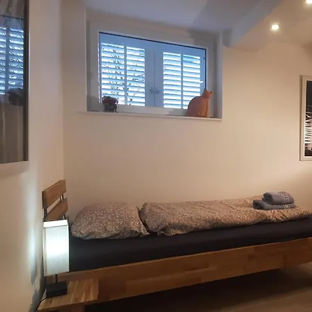 Garden , Homeandsail *