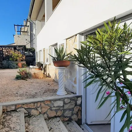 Garden , Homeandsail *