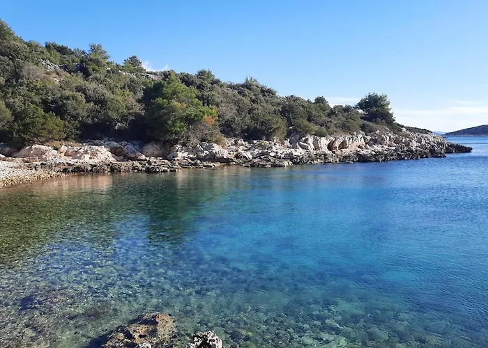 Apartment Garden , Homeandsail