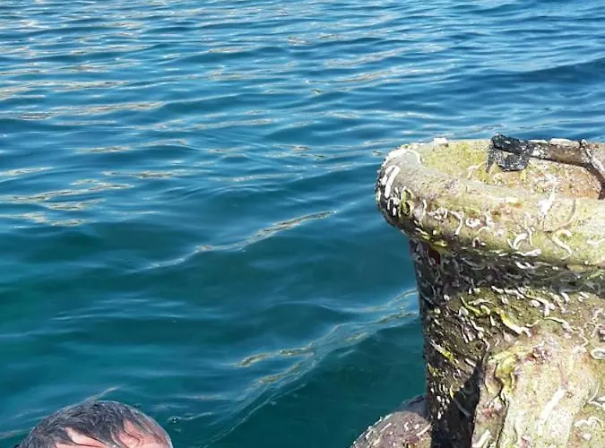 Garden , Homeandsail Jezera