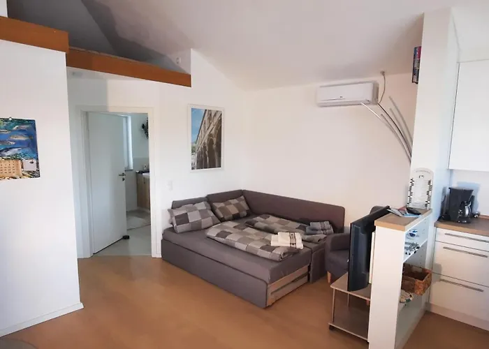 Garden , Homeandsail