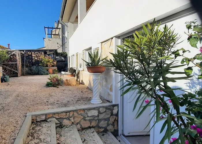 Garden , Homeandsail *